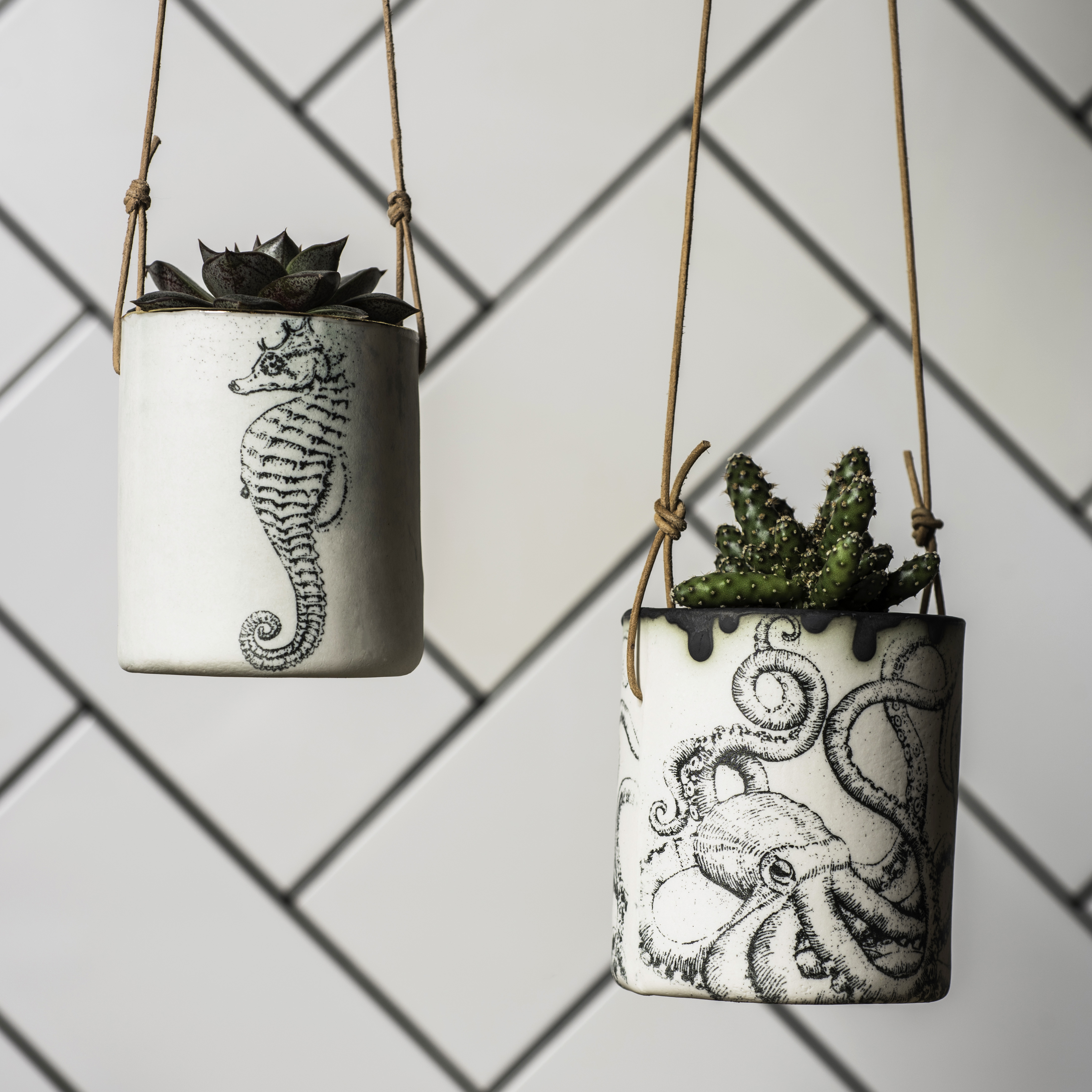 Seahorse and octopus hanging planters